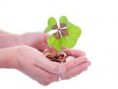 Čas a peniaze: Sporenie a investovanie
