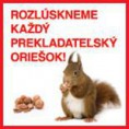 Jazyky, prekladanie, tlmočenie, jazykove kurzy